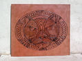 MANDALA ANIMAL CABEZA DE LEONA