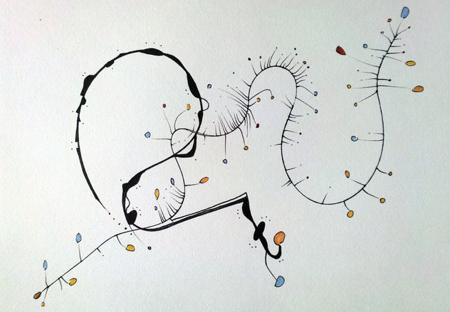 Pajaro Desayunando