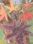 fall