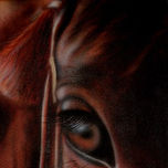caballos thumbnail 2