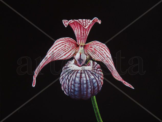 22-ORQUÍDEA Oil Panel Floral Painting