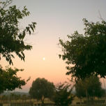 amaneceres thumbnail 1