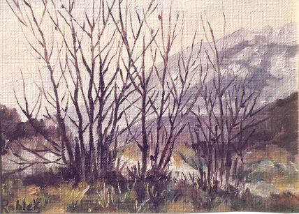 Paisaje
