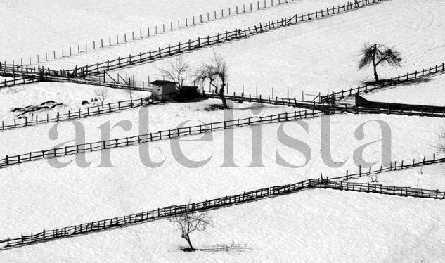 Lindes Naturaleza Blanco y Negro (Digital)