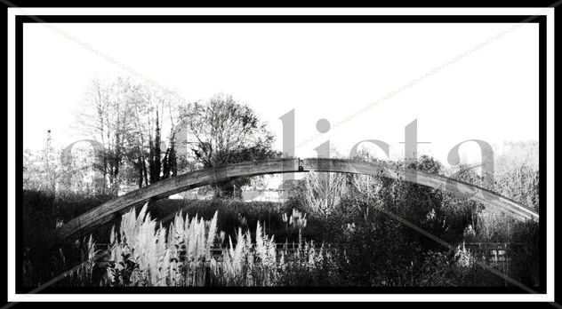 puente sobre el rio