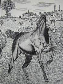 Caballo