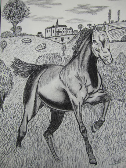 Caballo Charcoal