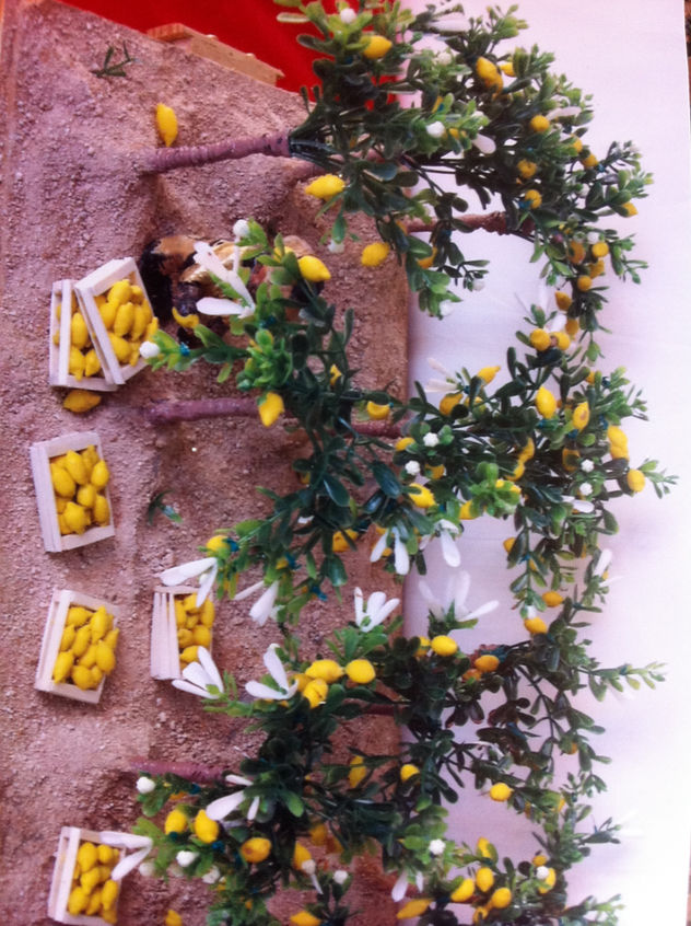 tiempo de limones