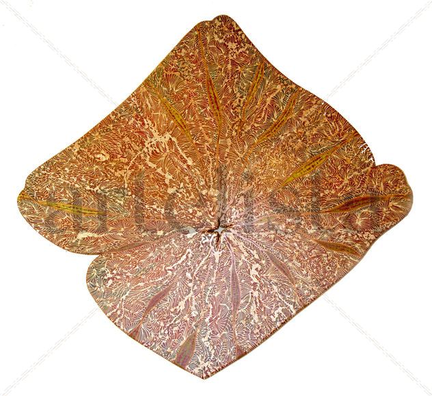Otoño