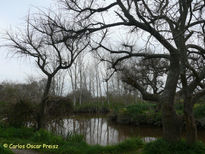 Arroyo el pescado 4