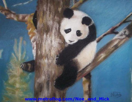 El panda