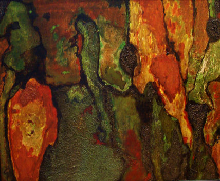 Vida y Color.4