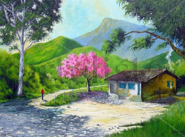 o amanhecer no campo
