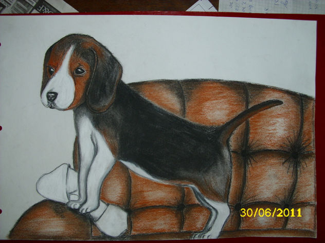 perro