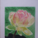 sergio sandoval thumbnail 1