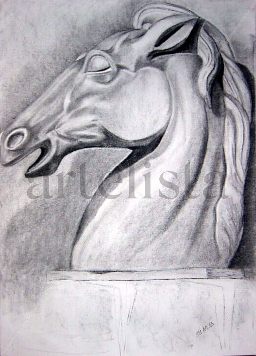 Estudio -  Cabeza de caballo