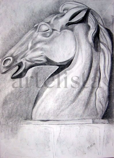 Estudio -  Cabeza de caballo Charcoal