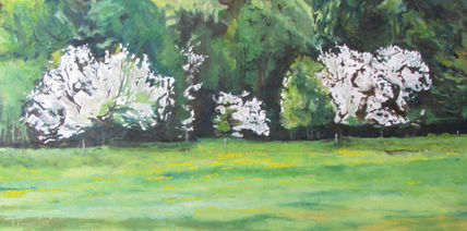 The Flowering Apple...