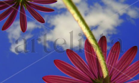 Naturaleza