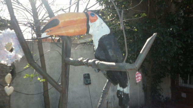 tucan descansando en arbol 