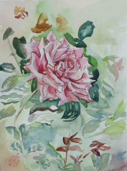 Rosa de Otoño 2 Watercolour Paper Landscaping