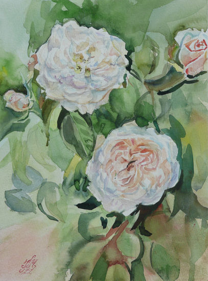 Rosas blancas y 6 Watercolour Paper Floral Painting