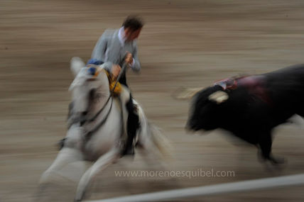 Rejoneador Bilbao 1