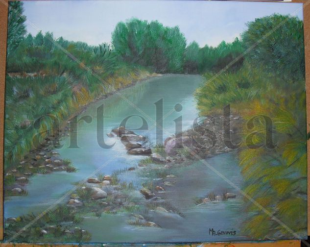 Rio de las Nogueras(Narboneta-Cuenca) Acrylic Canvas Landscaping