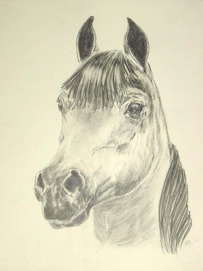 "Apolo" Pencil