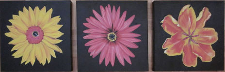 Flores