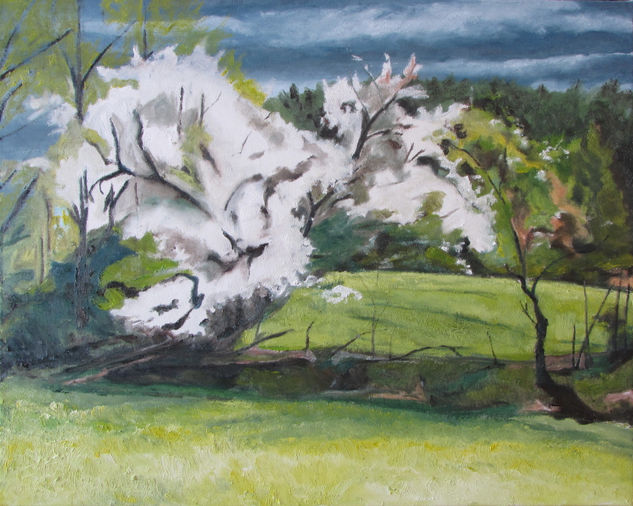 Blooming in the wind, Quebec, Canada Oil Canvas Landscaping