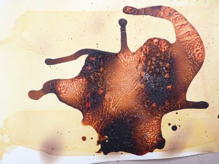 Fluidens tentaculado