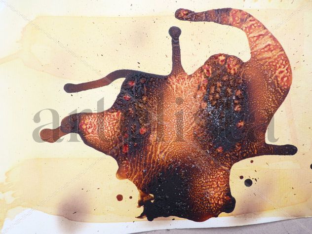 FLUIDENS TENTACULADO