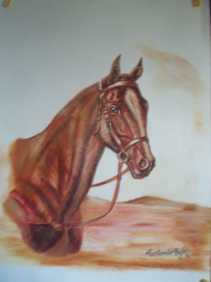 Cárdenas ii