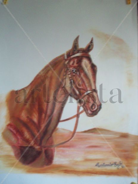 Cárdenas ii