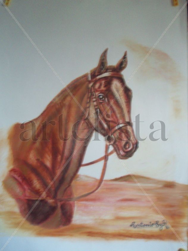 CÁRDENAS II
