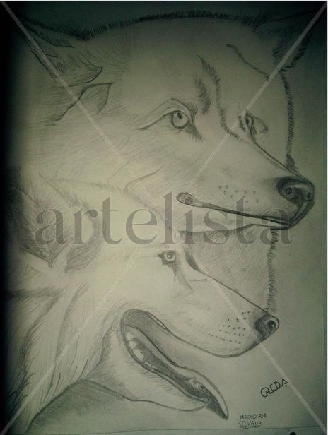 Naturaleza canina