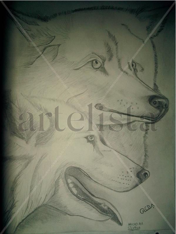 naturaleza canina
