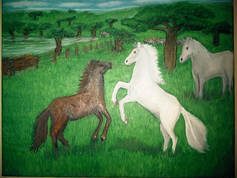 llanos Venezolanos