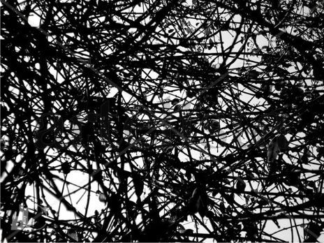 Abstract
