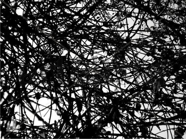 Abstract
