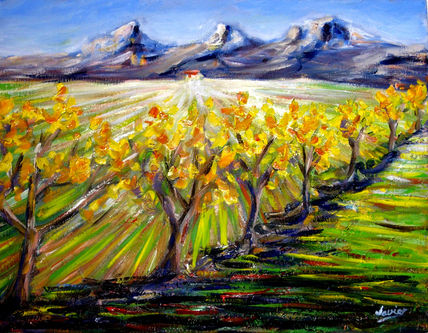 Paisaje