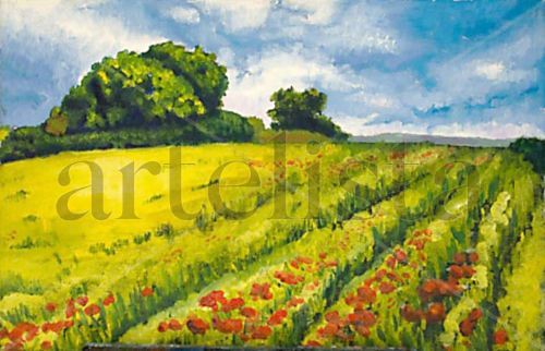 Amapolas