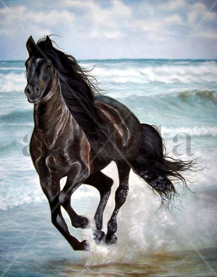 Caballo negro Oil Canvas Animals