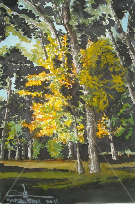 Fresnos  en otoño