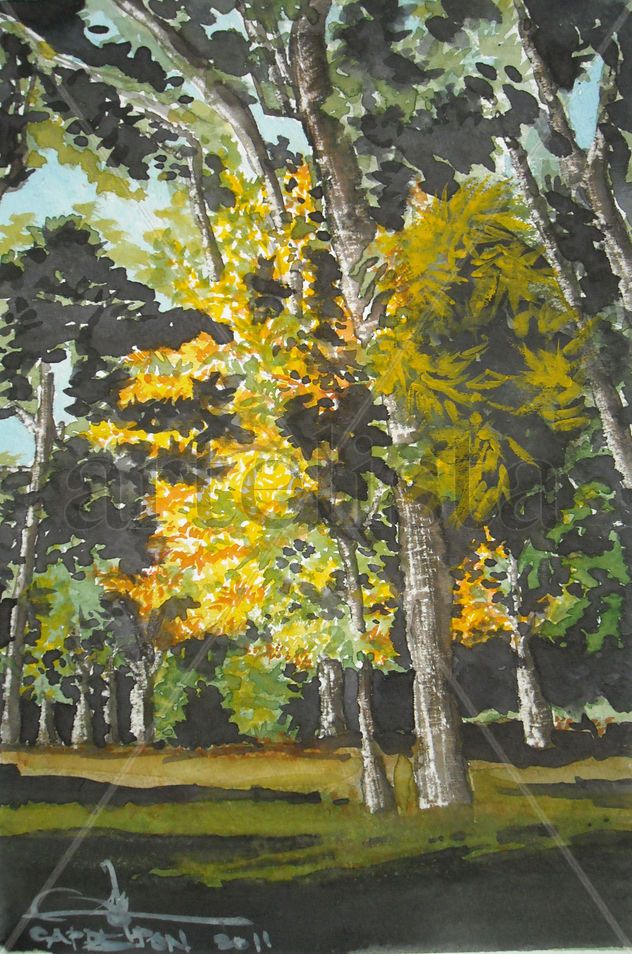 fresnos  en otoño
