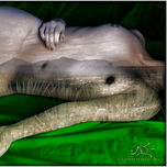 METSKALI (2011) thumbnail 2