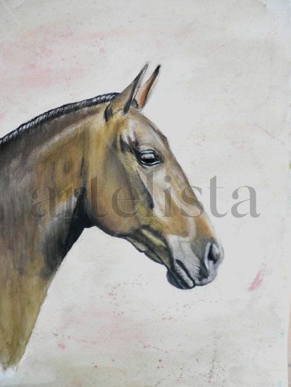 Caballo. Mixed Media