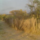 fotos. thumbnail 2