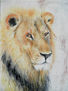 León.